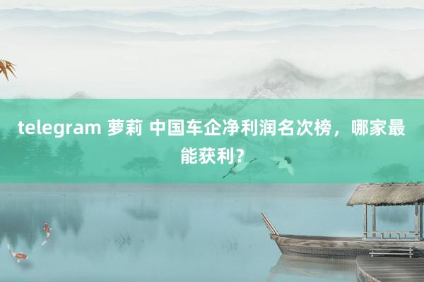 telegram 萝莉 中国车企净利润名次榜，哪家最能获利？